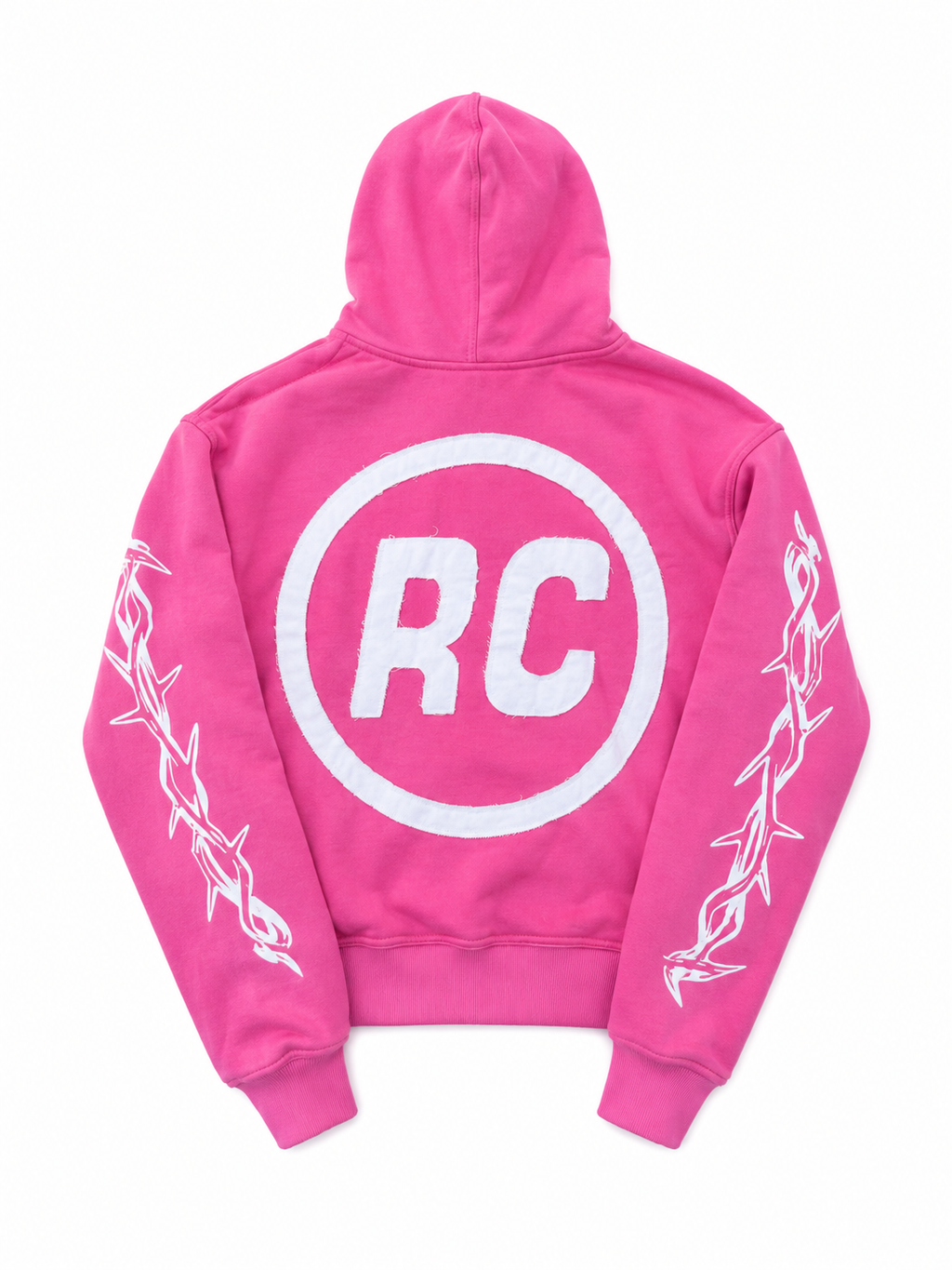Riches In Christ Zip-Up Hoodie (Pink)