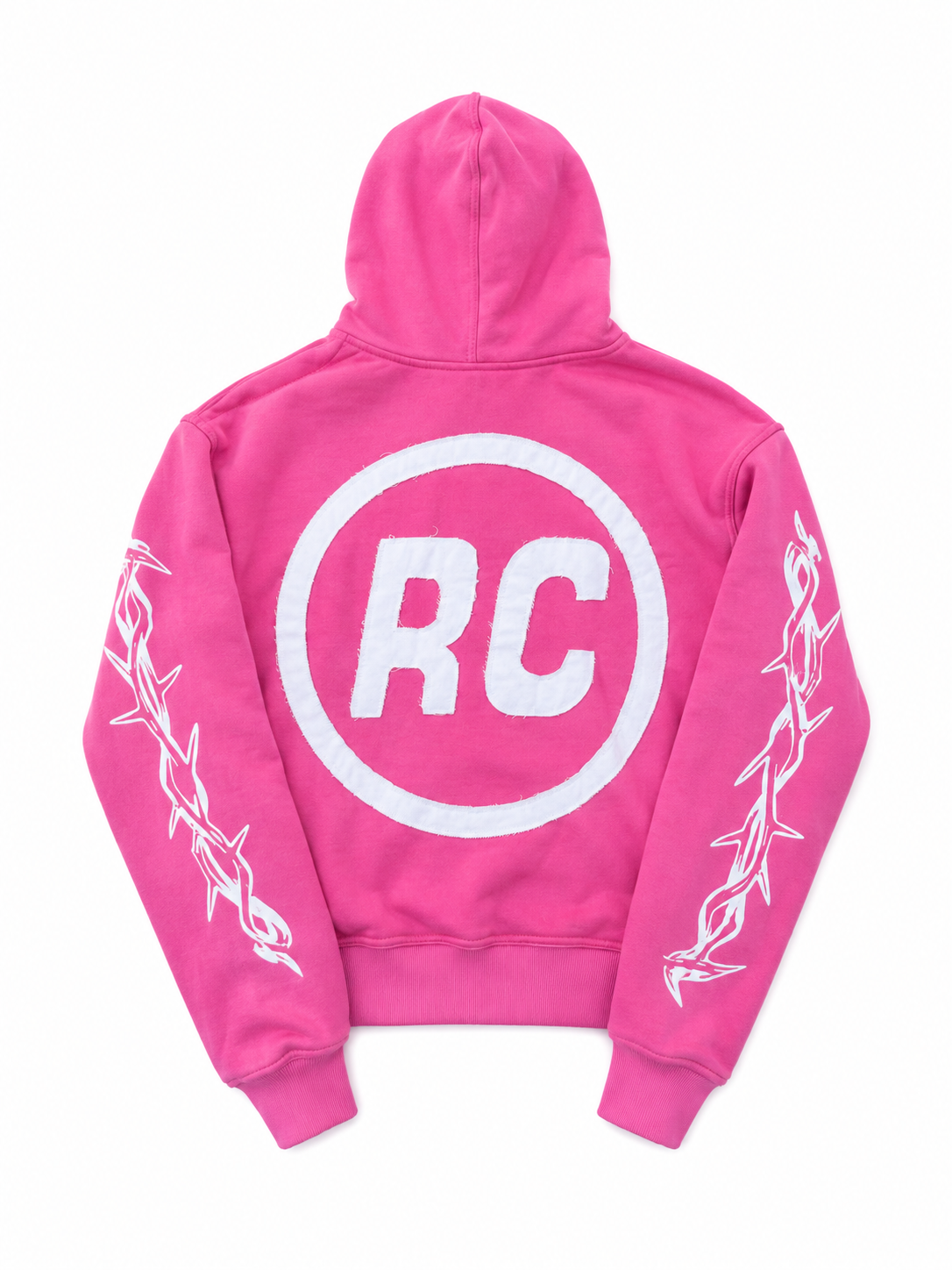 Riches In Christ Zip-Up Hoodie (Pink)