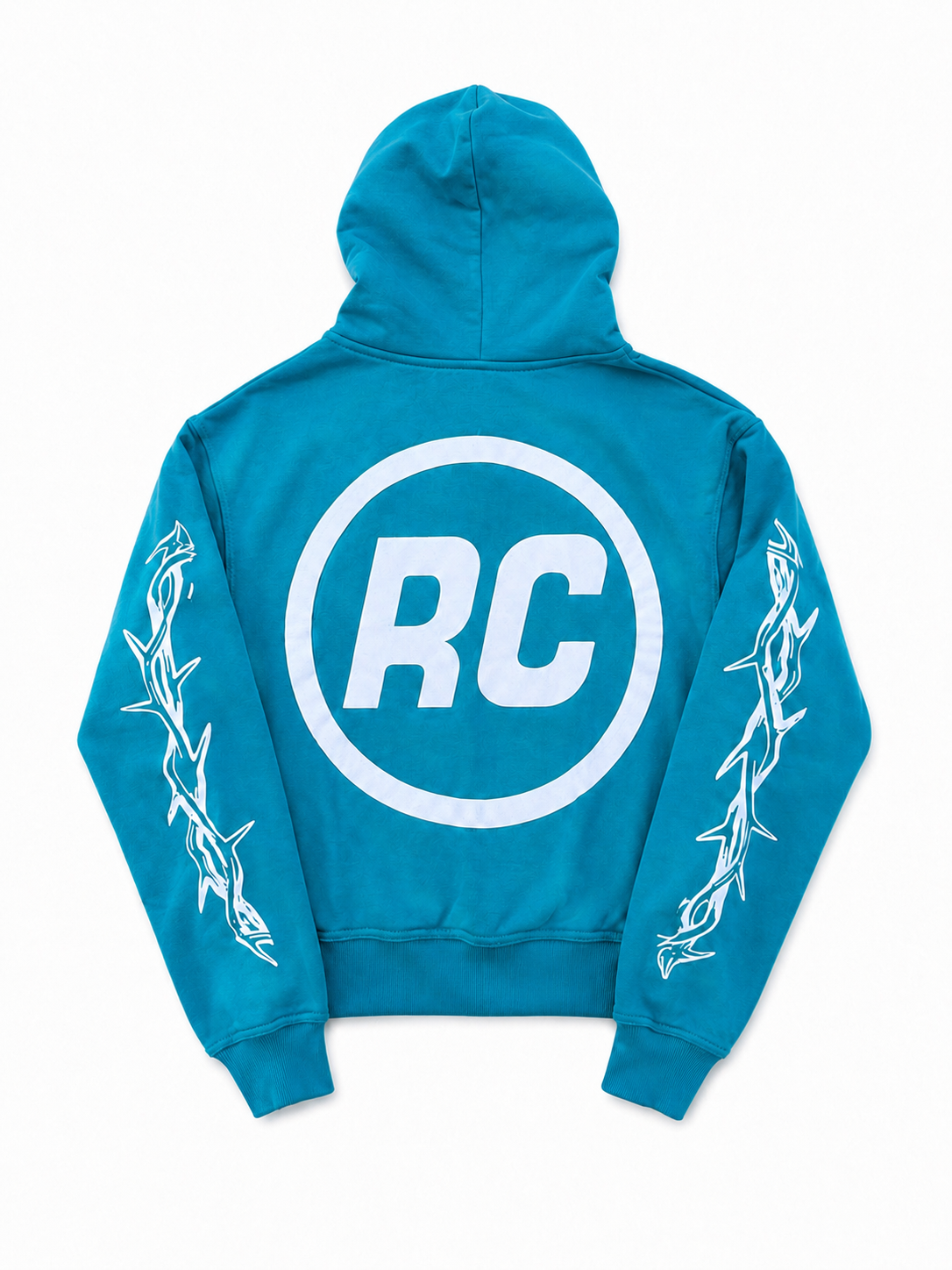 Riches In Christ Zip-Up Hoodie (Blue)